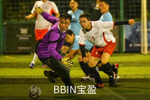 BBIN宝盈公司简介图片